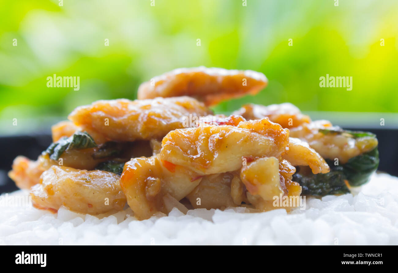 Stir-Fried Chicken with Holy Basil and Garlic