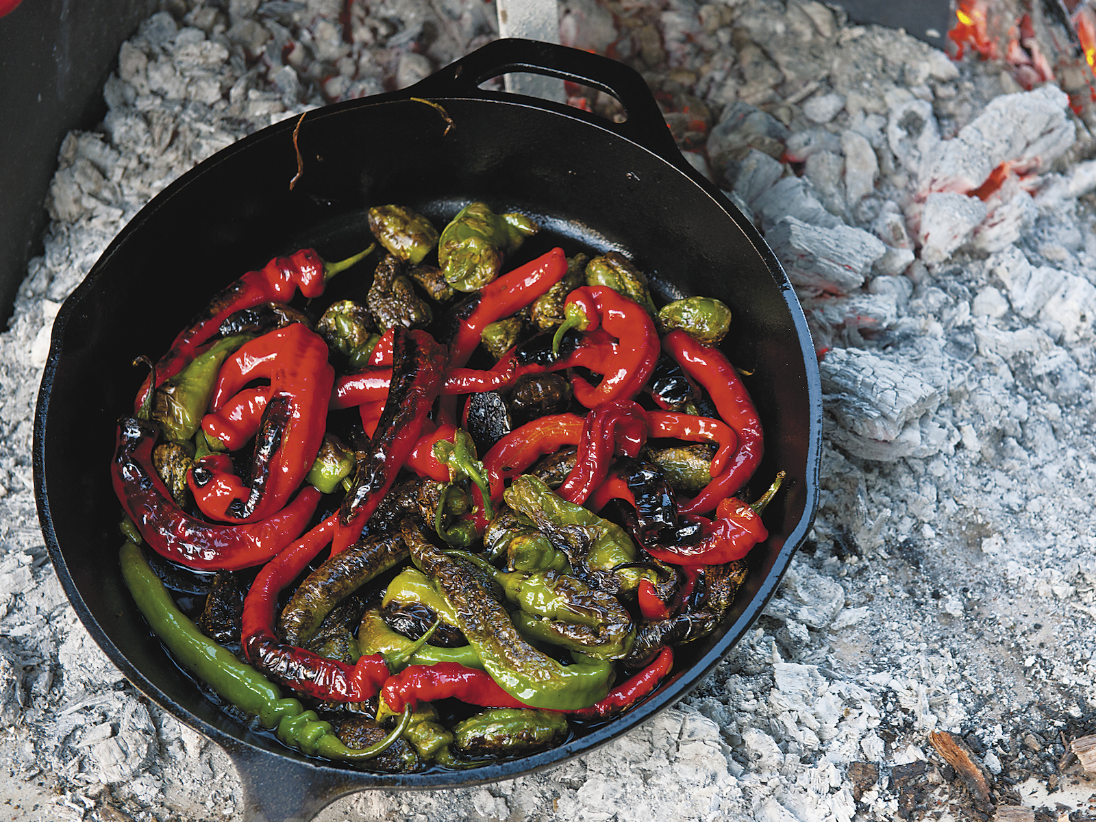 Grilled Padrón Peppers with Sea Salt