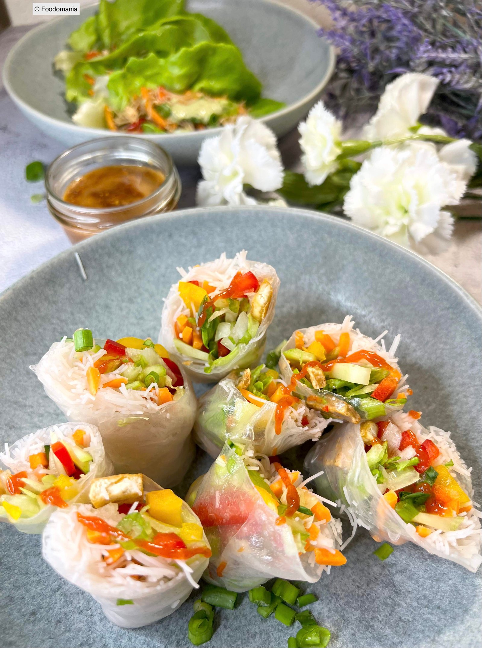 Fresh Rice Paper Spring Rolls with Shrimp and Herbs