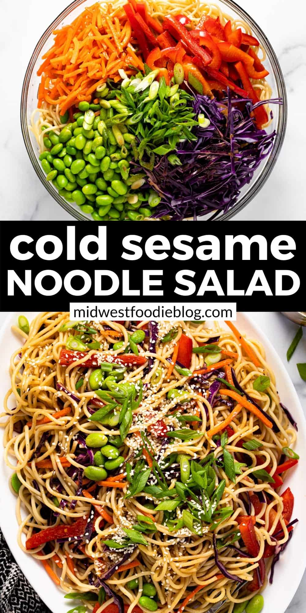 Cold Asian Noodle Salad with Toasted Sesame and Ginger Dressing