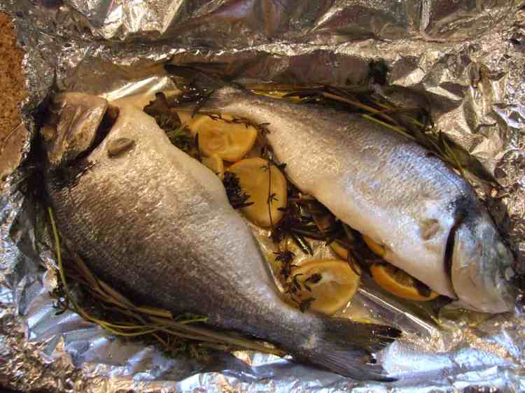 Pan-Seared Sea Bream with Lemon and Oregano