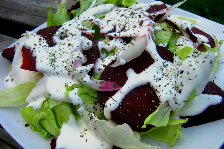 Northern Clime Rye and Beet Salad with Horseradish Dressing