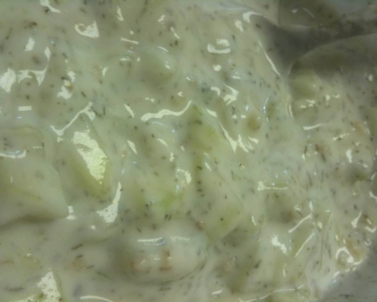 Chilled Greek Yogurt and Cucumber Tzatziki Sauce