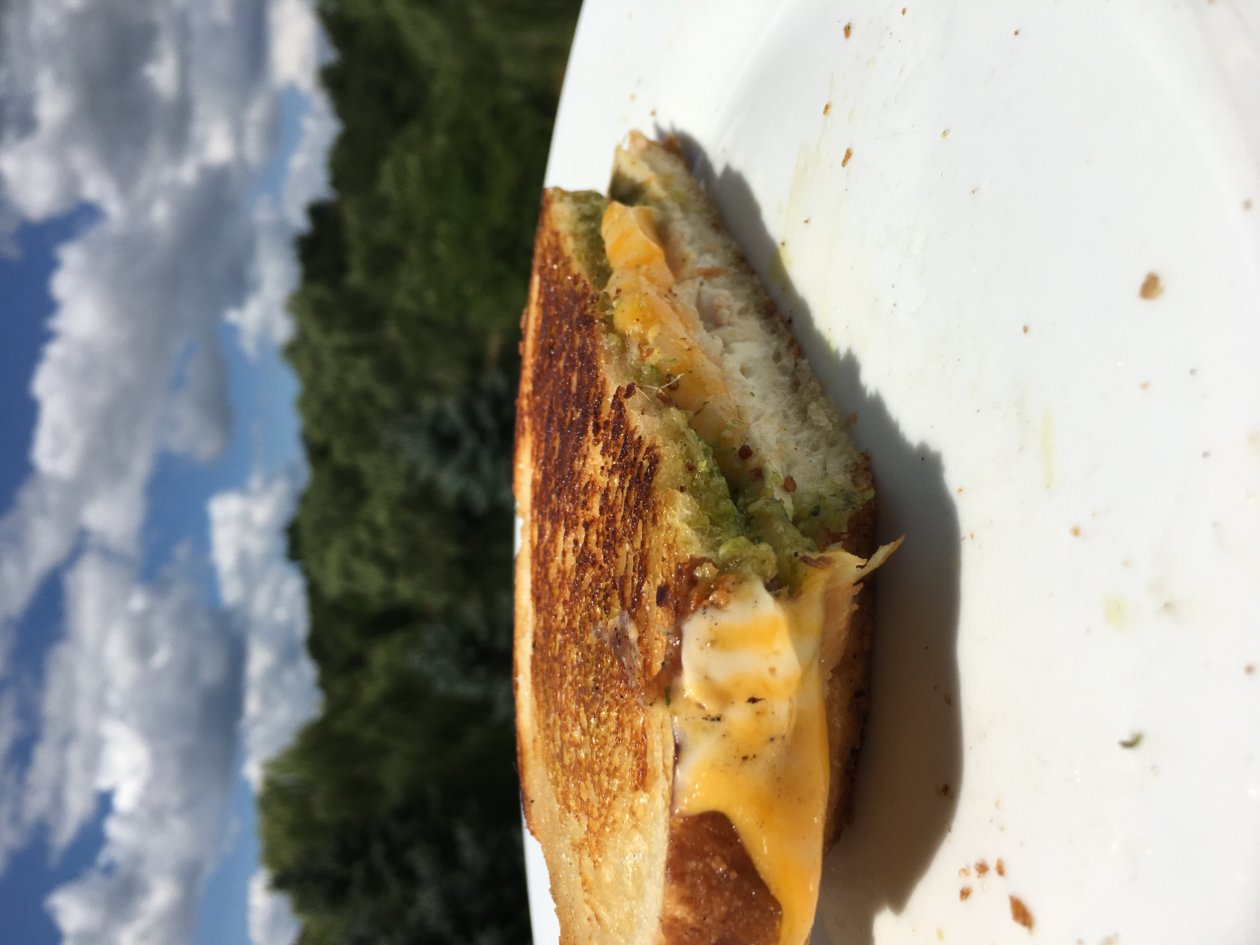 Griddled Sourdough Sandwich with Roasted Tomato and Basil Pesto