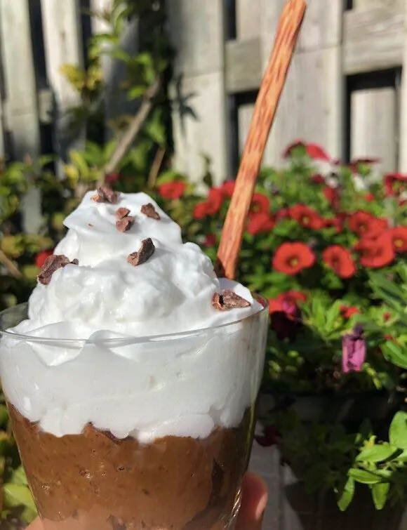 No-Bake Vegan Chocolate Avocado Pudding