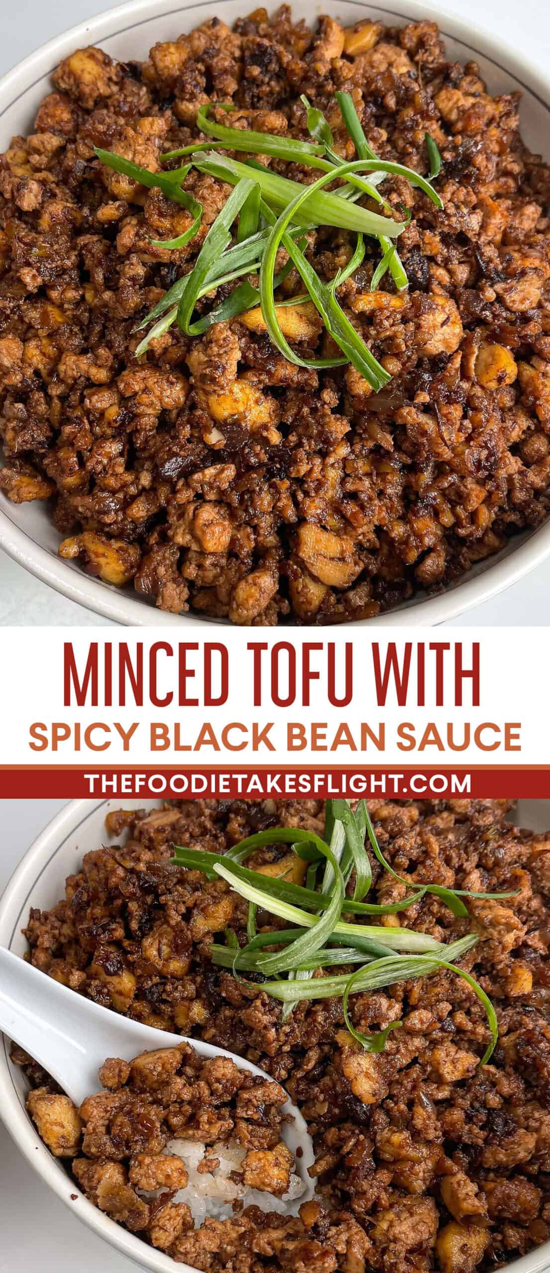 Stir-Fried Tofu with Spicy Black Bean Sauce