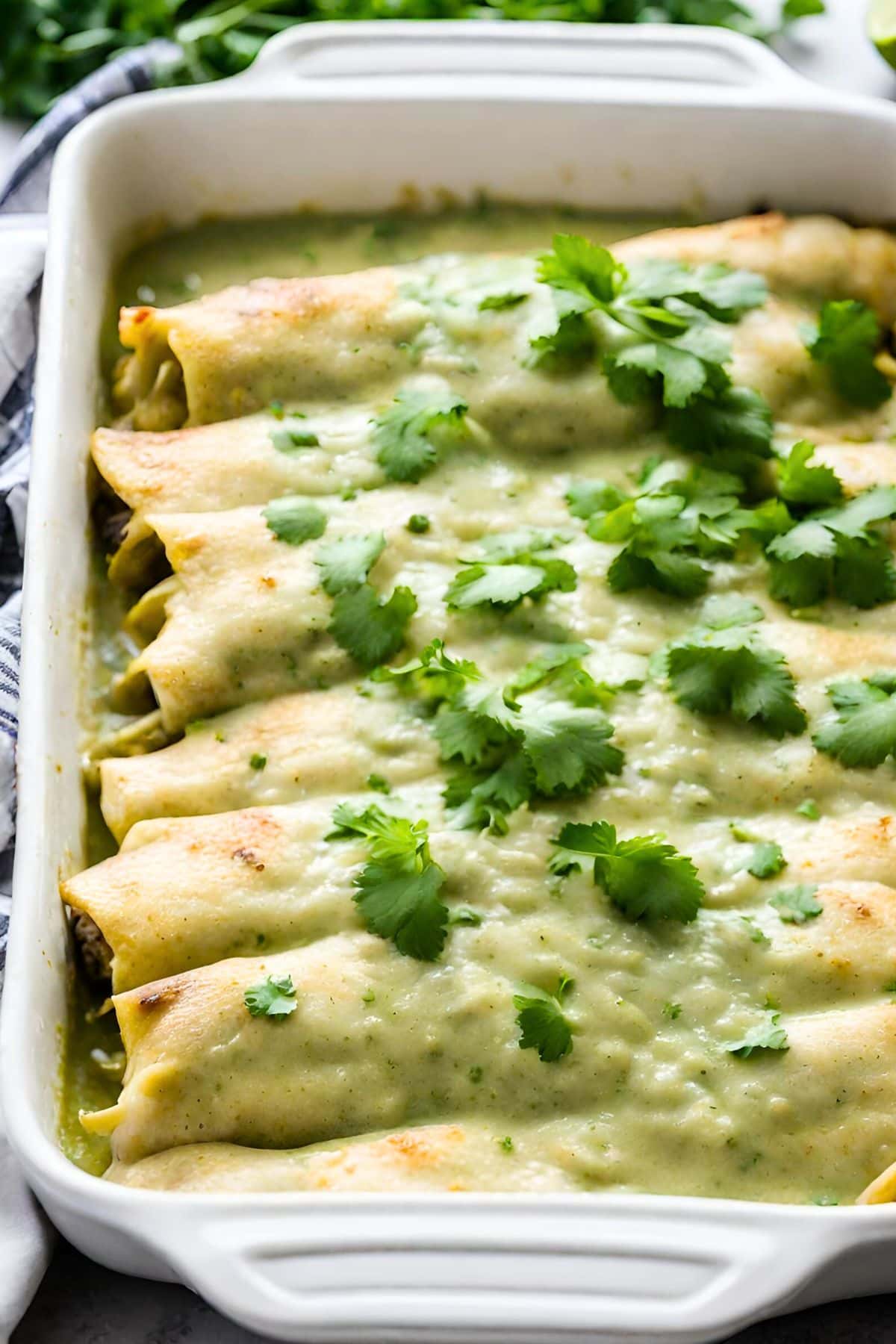 Slow-Simmered Chicken Enchiladas with Ancho Chile Sauce