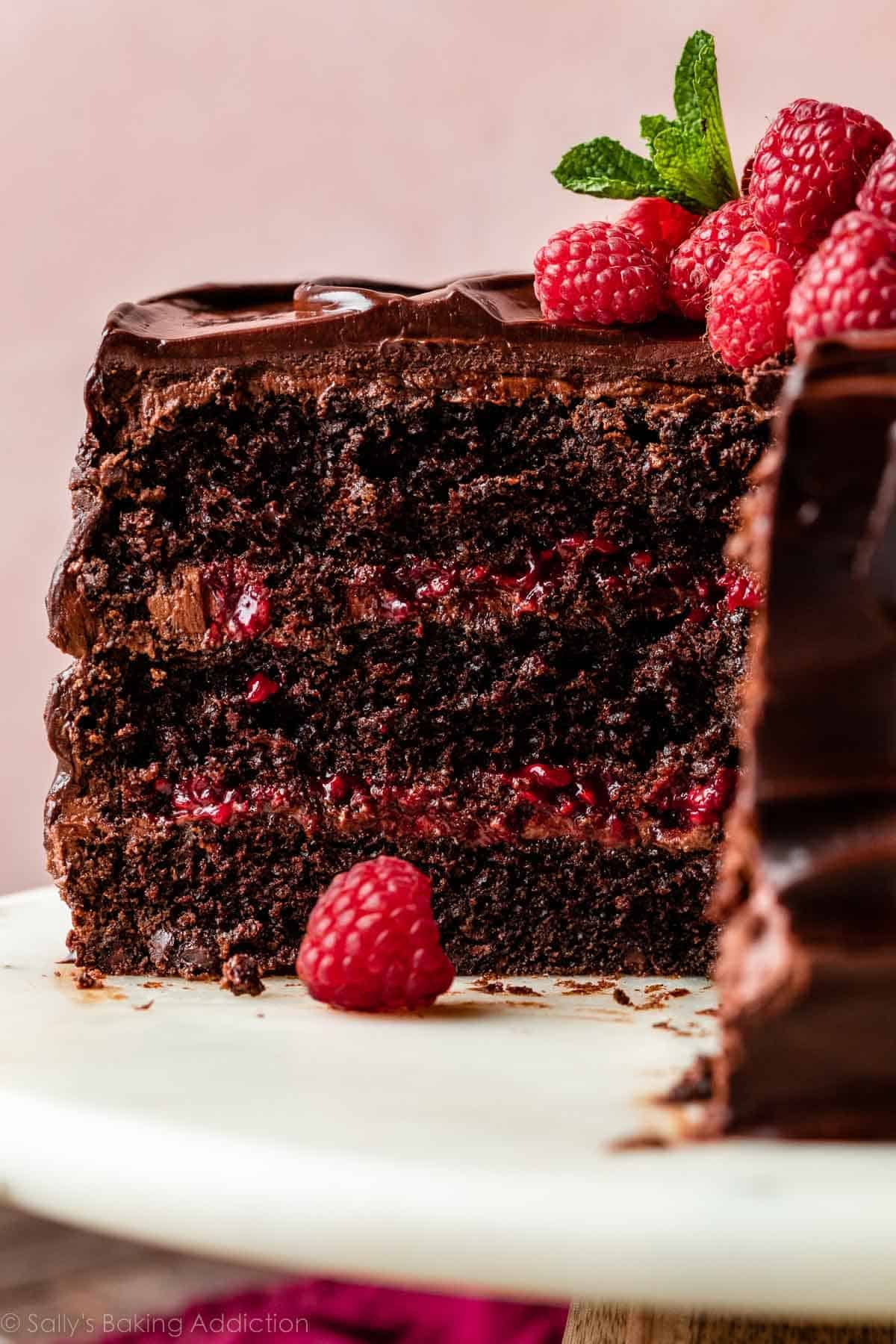 Chocolate and Raspberry Layered Mousse Cake