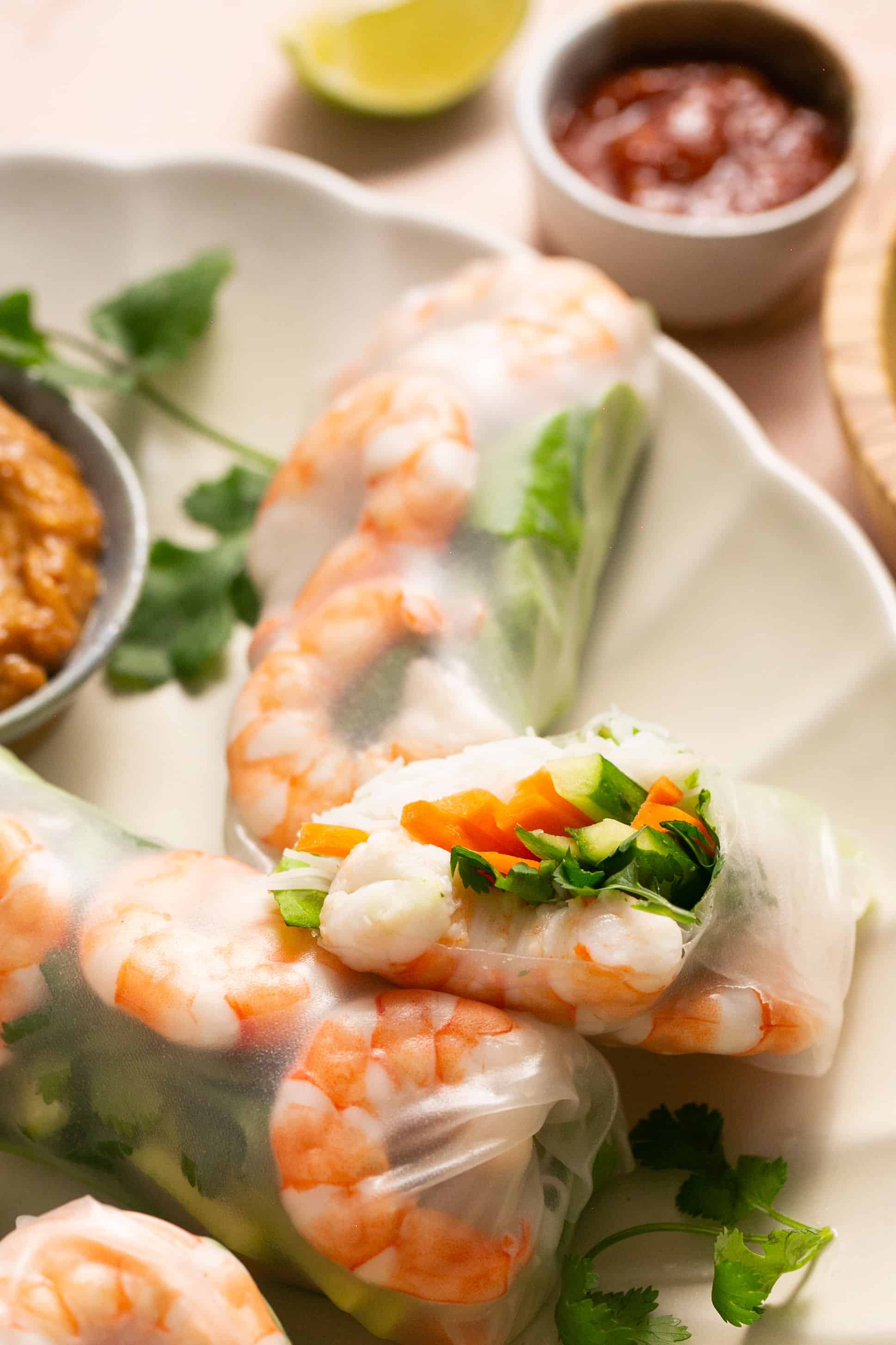 Vietnamese Shrimp and Vermicelli Summer Rolls with Peanut Dipping Sauce