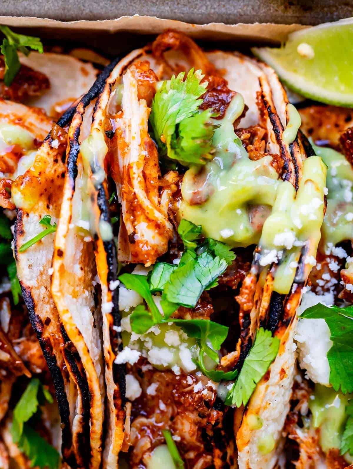 Authentic Oaxacan Chicken Tacos