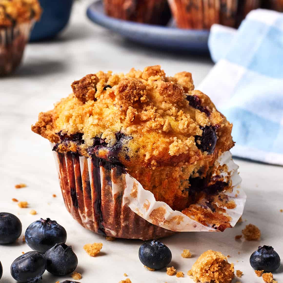 Fractions Blueberry Muffins