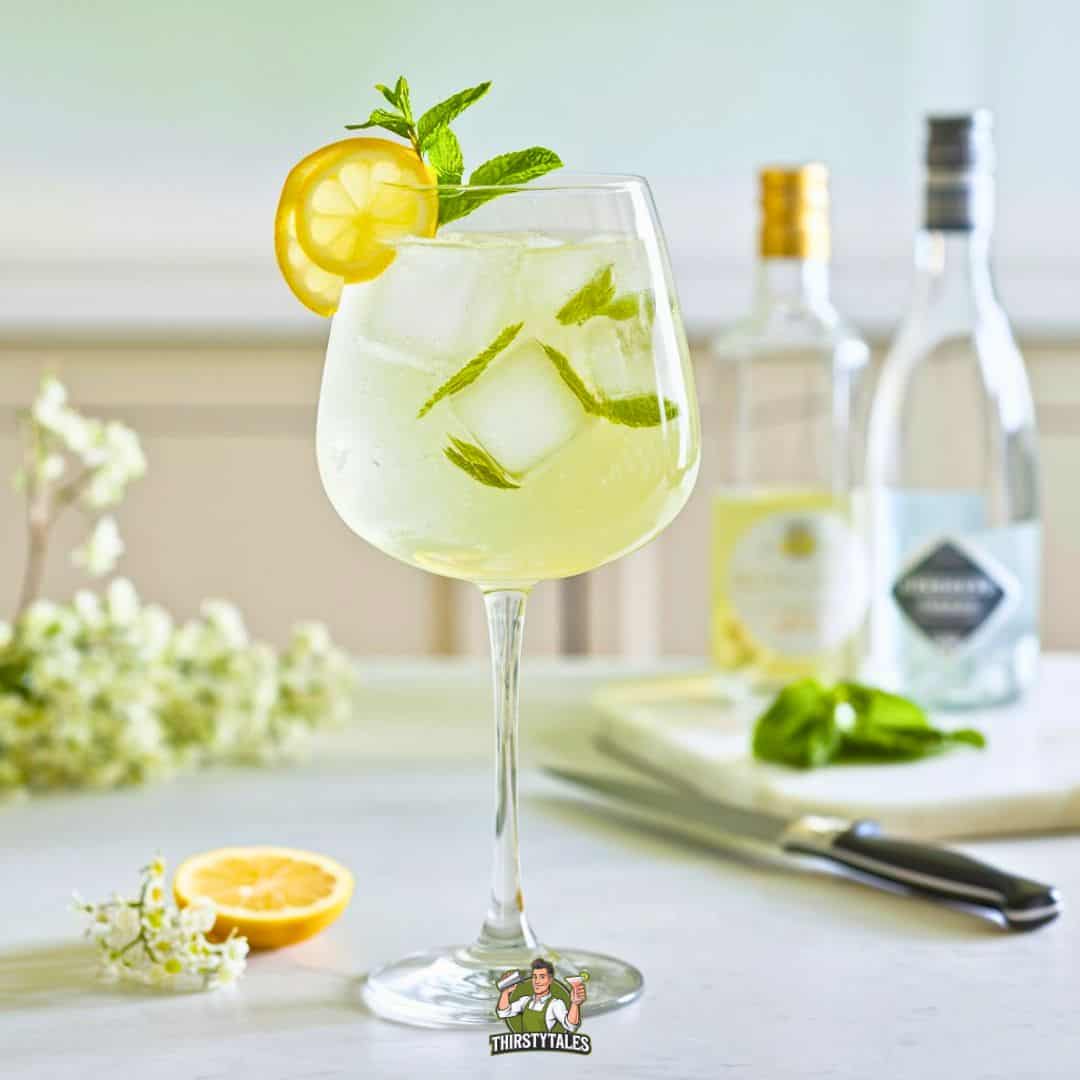 Citrus Elderflower Spritz with Prosecco
