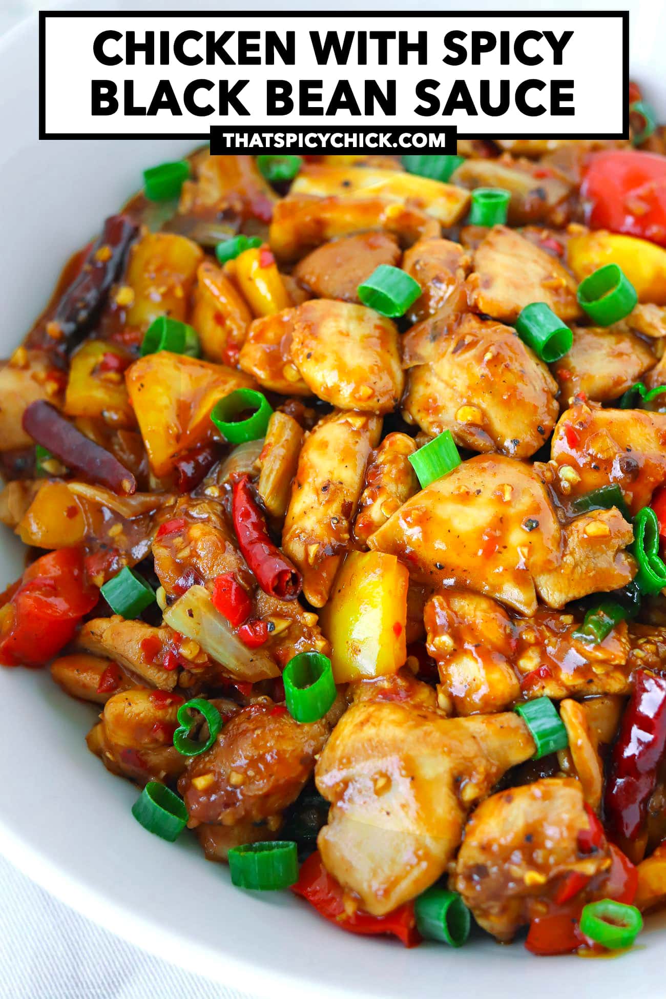Pan-Seared Chicken with Spicy Tomato and Black Bean Sauce