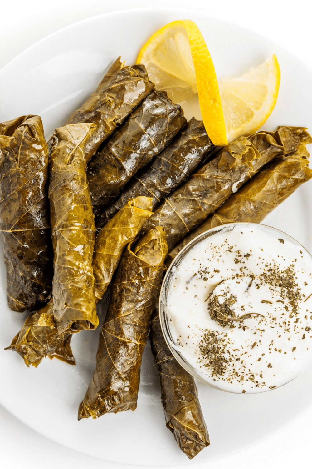 Herbed Sukkah-Inspired Stuffed Grape Leaves with Lemon and Pine Nuts