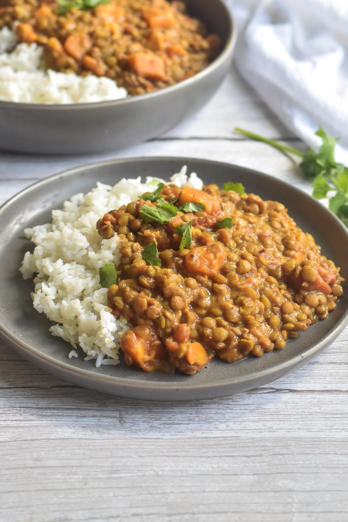 Slow Cooker Indian-Spiced Lentil Curry