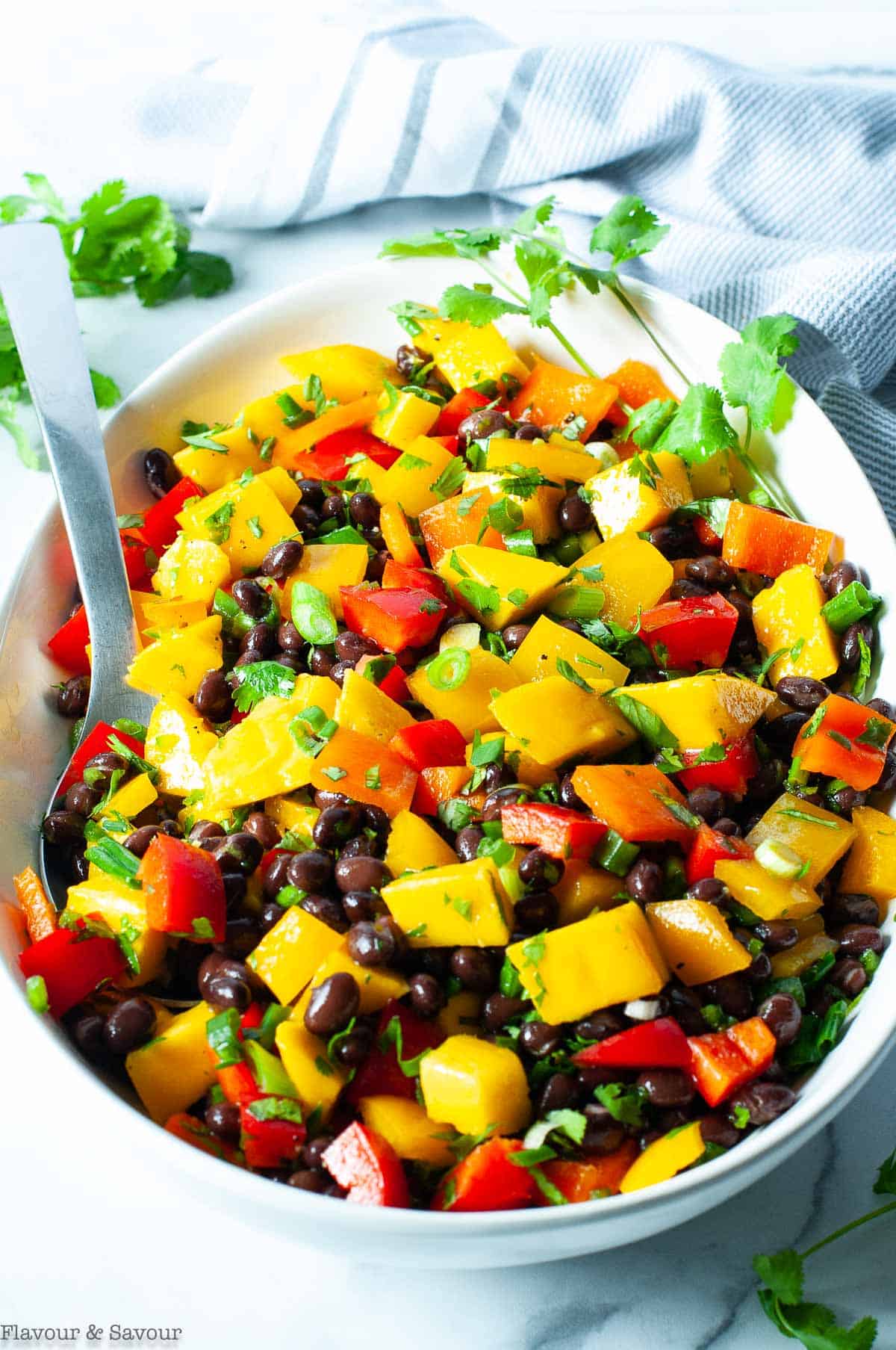 Mango Avocado and Black Bean Salad with Cilantro-Lime Dressing