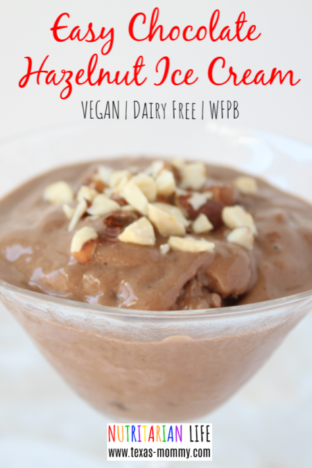 Van Leeuwen-Inspired Vegan Chocolate Hazelnut Ice Cream