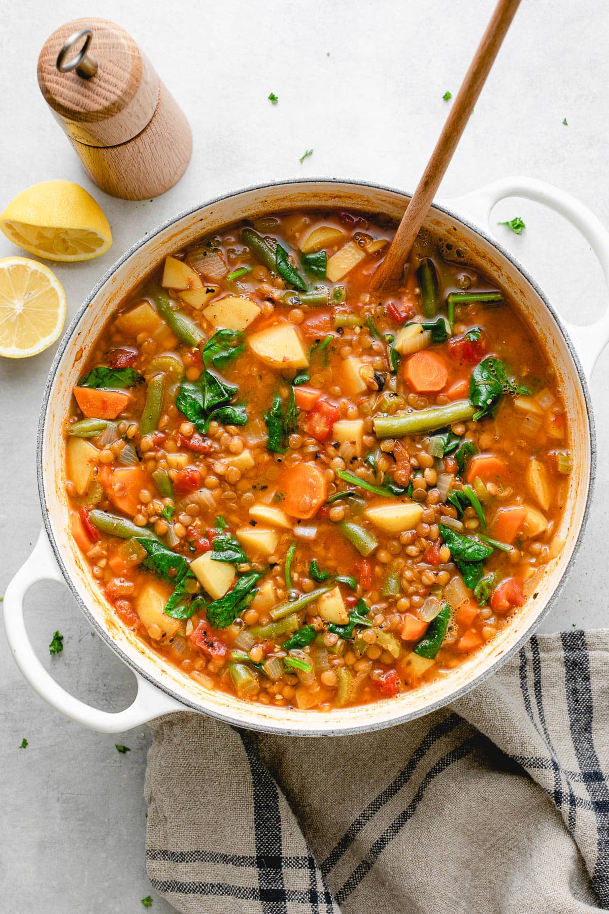 Freshman’s Spiced Lentil Soup with Vegetables