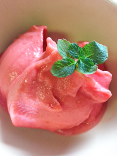 Radiant Berry & Coconut Sorbet