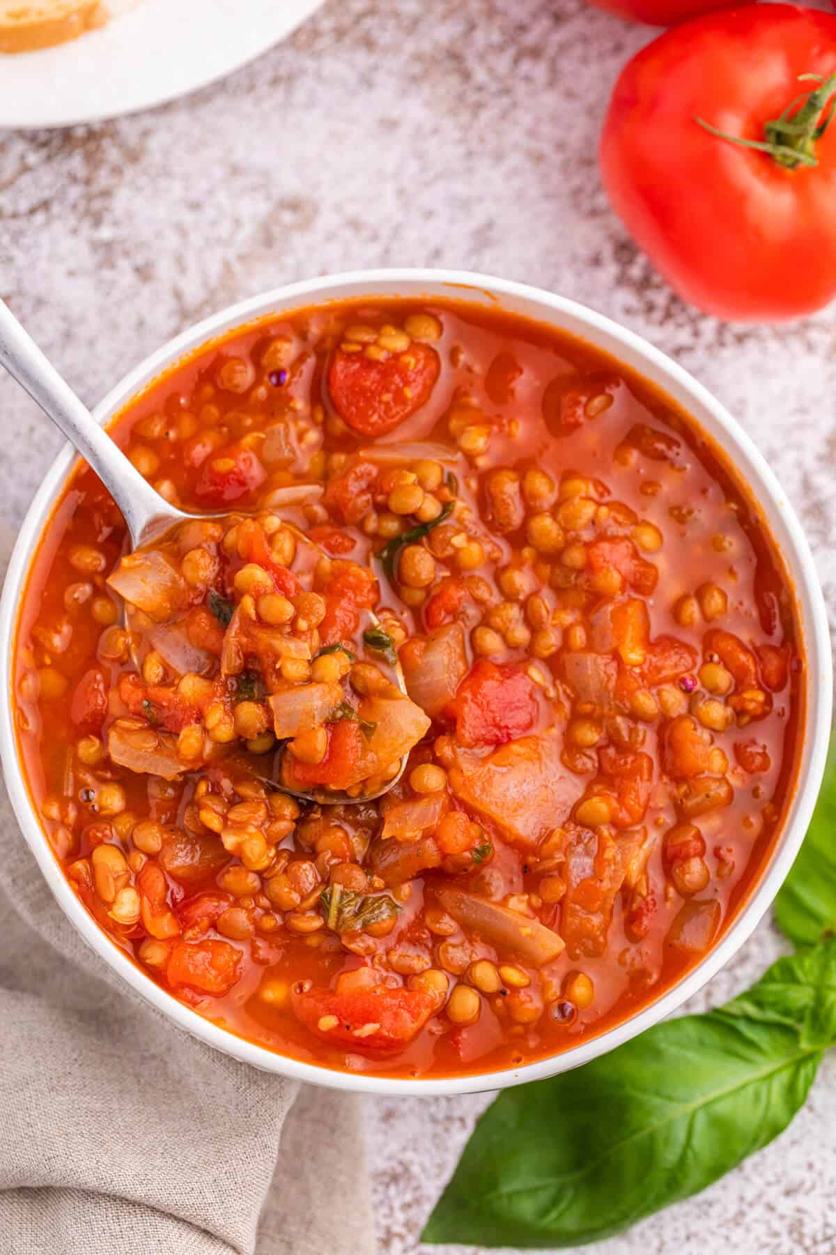 One-Pot Italian Lentil and Tomato Stew with Garlic and Basil