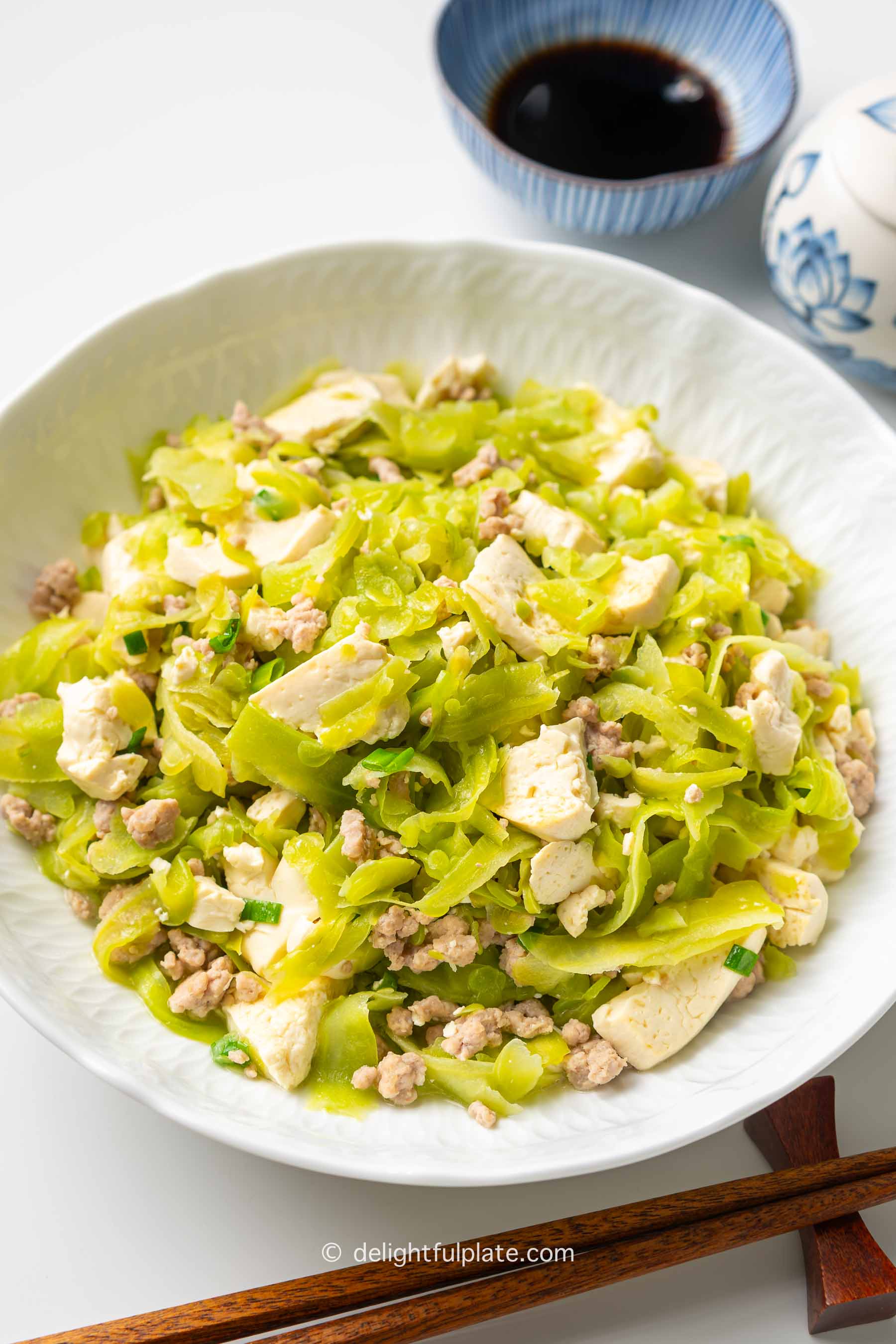 Stir-Fried Okinawan Bitter Melon with Tofu and Pork