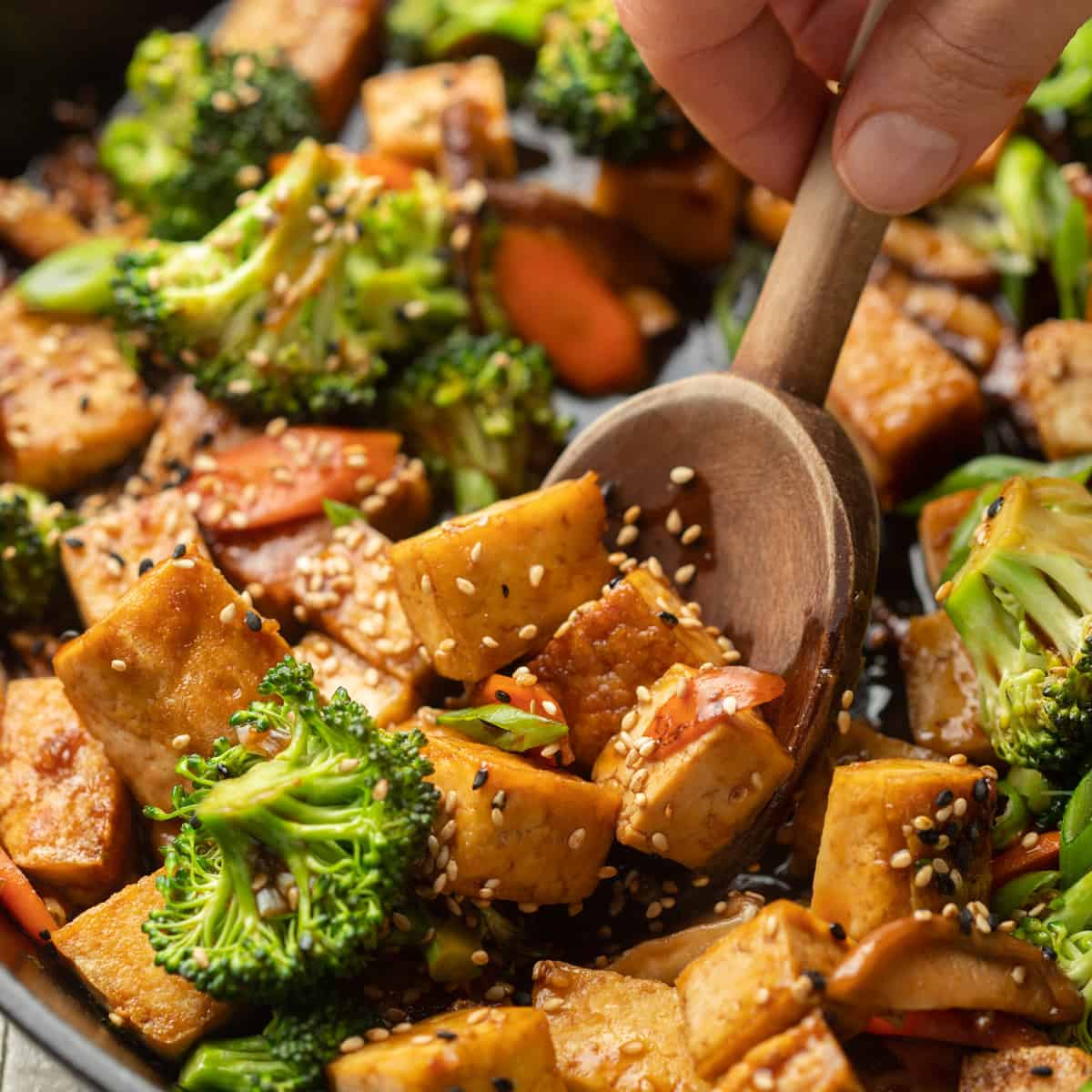 Stir-Fried Authentic Vegetable and Tofu Medley with Garlic Sauce