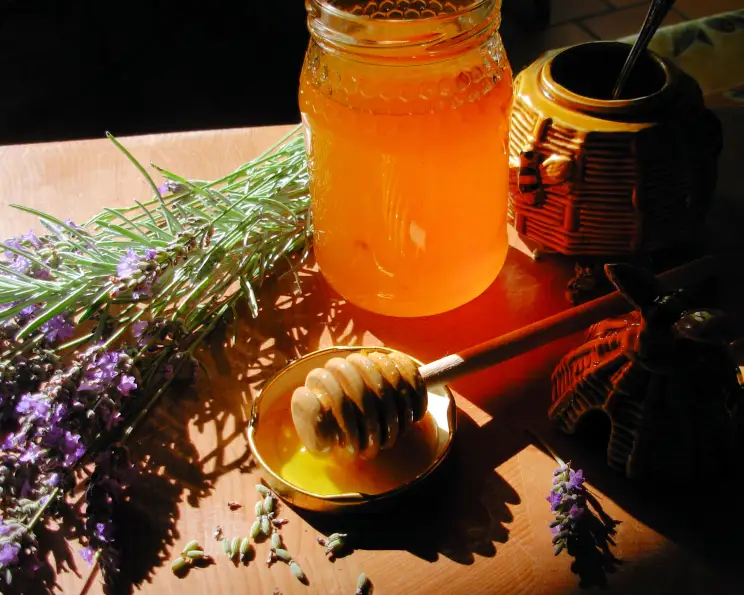 Lavender & Lavender Honey Old Fashioned