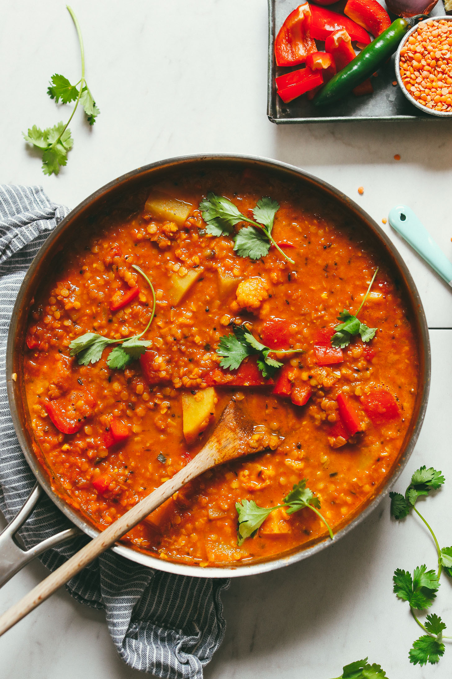 Gluten-Free Vegan Lentil and Vegetable Curry