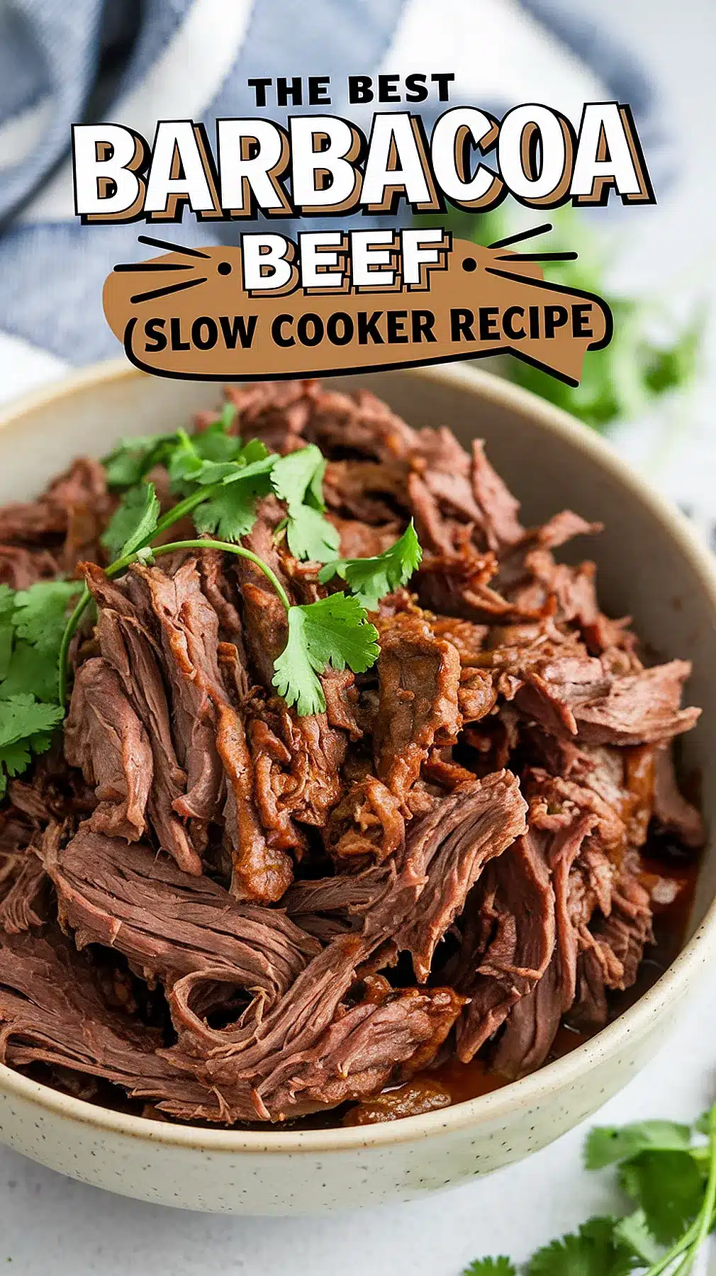 Slow-Cooked Beef Barbacoa with Ancho Chile Sauce