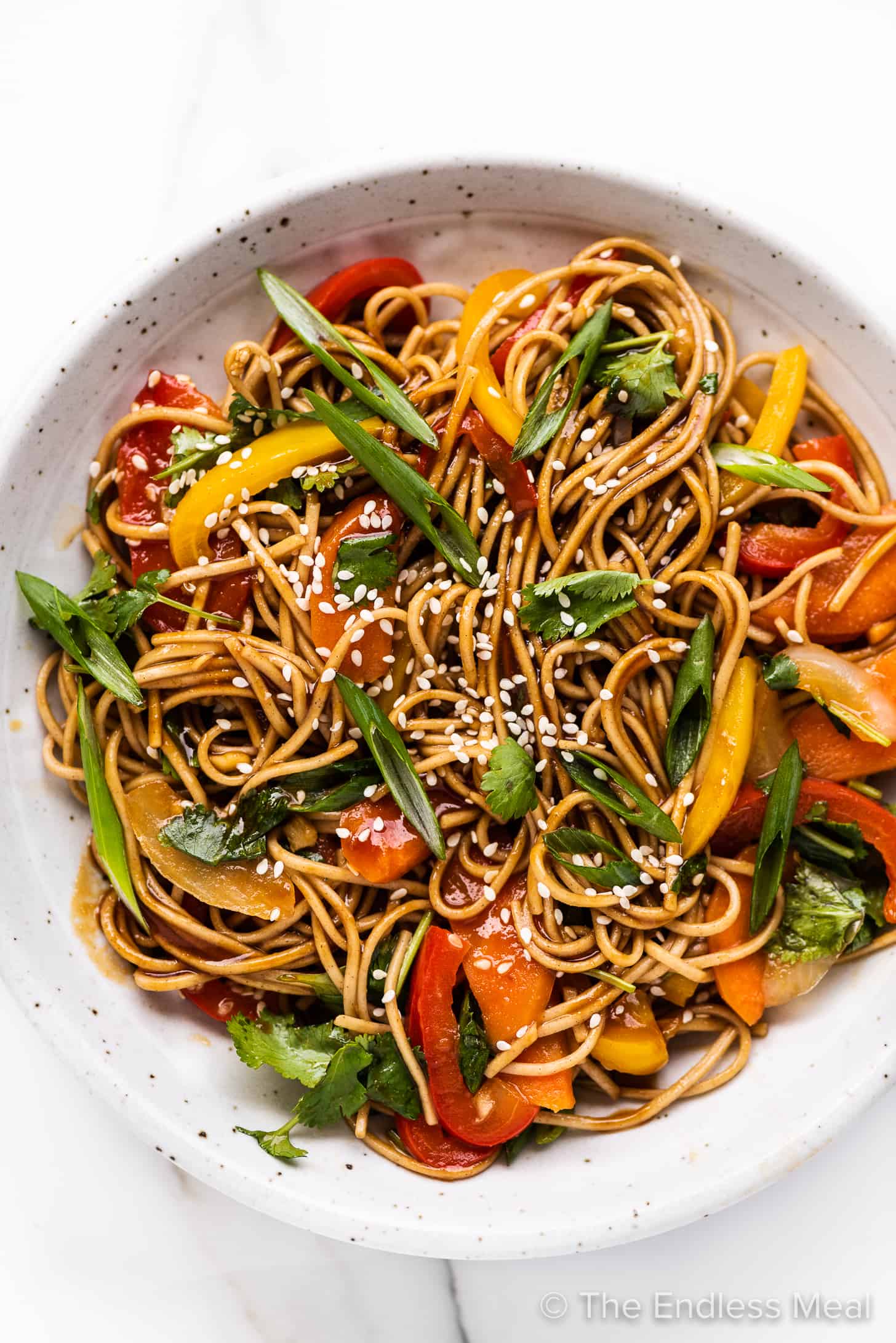 Quick Stir-Fried Noodles with Soy-Ginger Google Maps Sauce