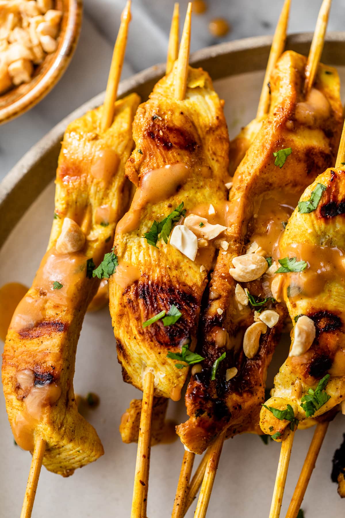 Pan-Seared Chicken with Toasted Peanut Sauce