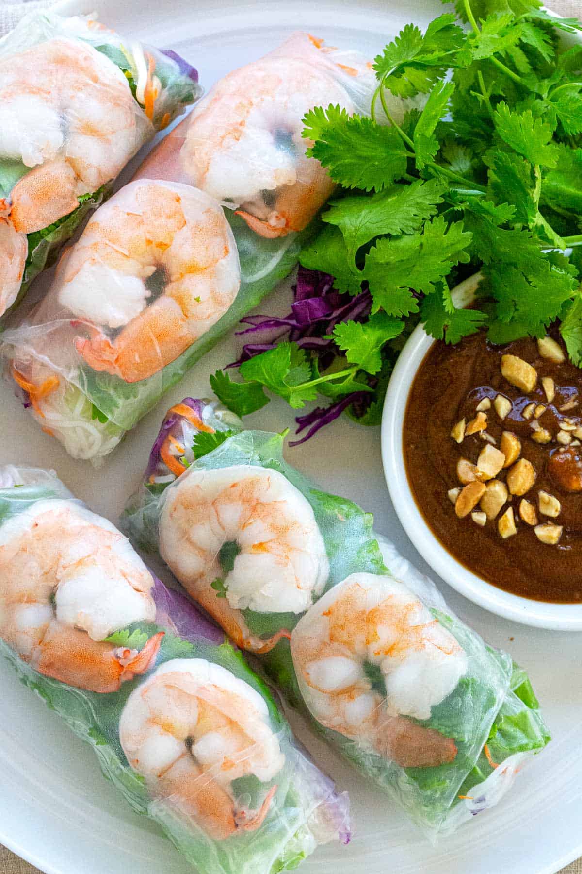 Fresh Goi Cuon Spring Rolls with Shrimp and Peanut Dipping Sauce