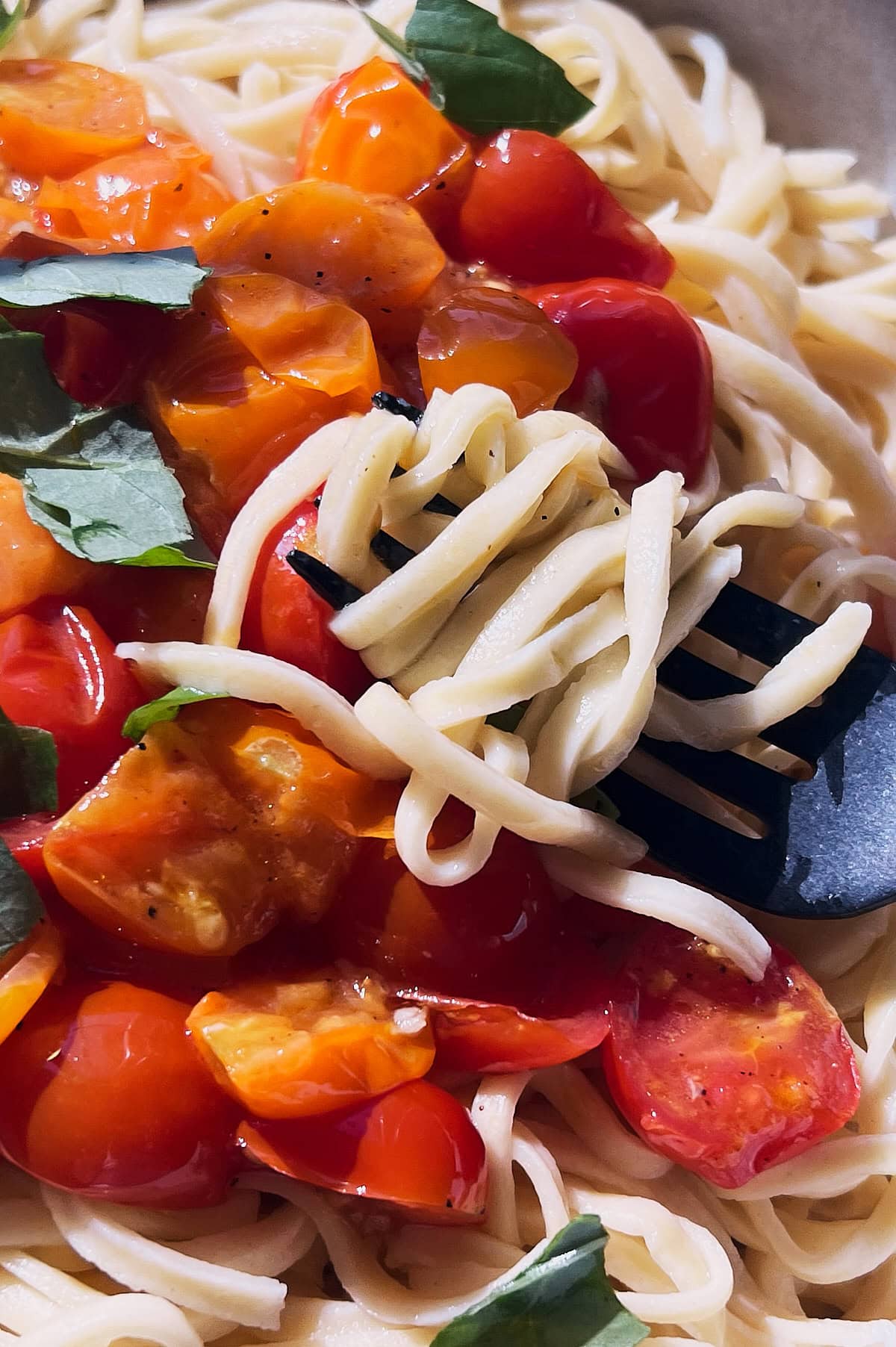 Hand-cut Spaghetti alla Chitarra with Garlic-Parsley Sauce