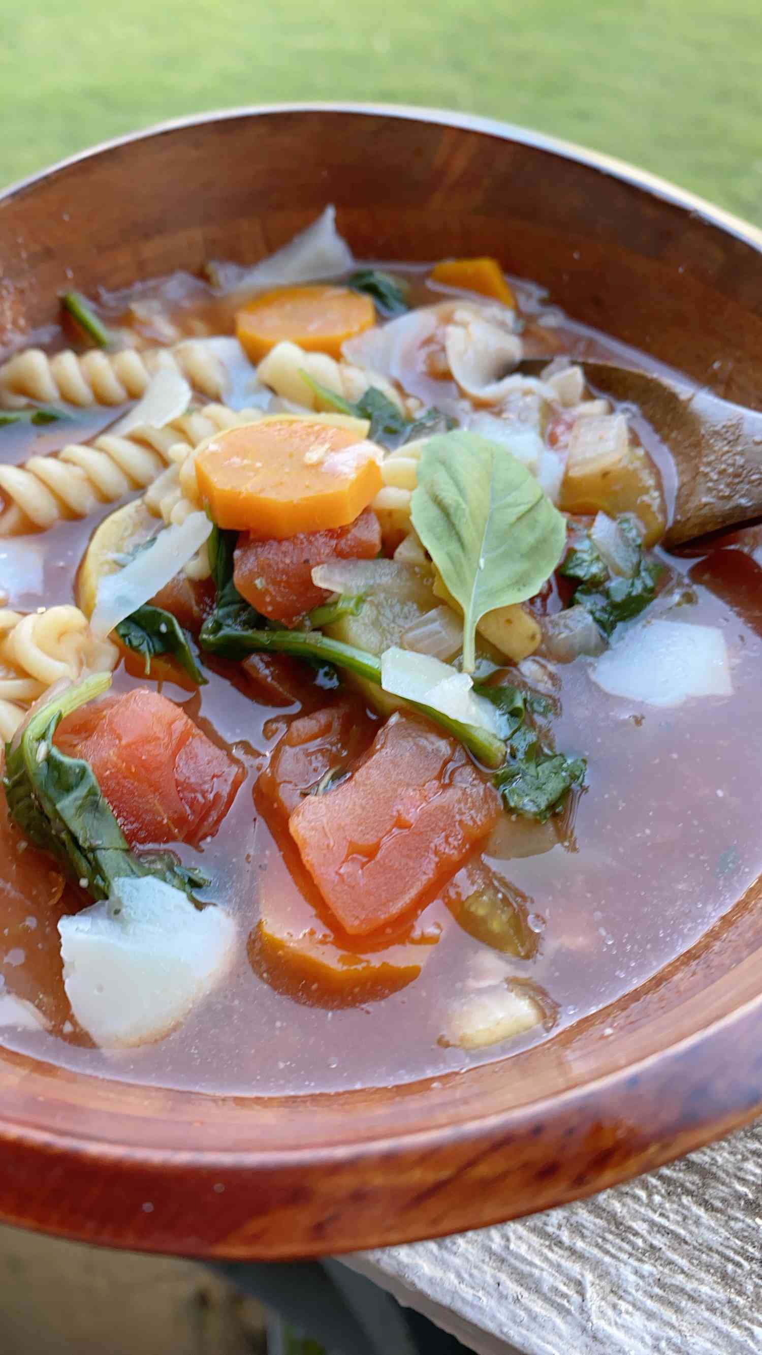 General Vegetable Minestrone Soup