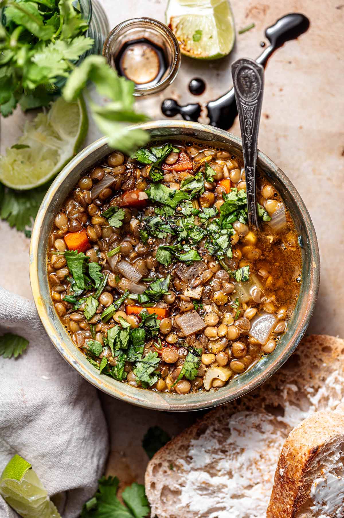 Northern Spice-Inspired Vegan Lentil Stew