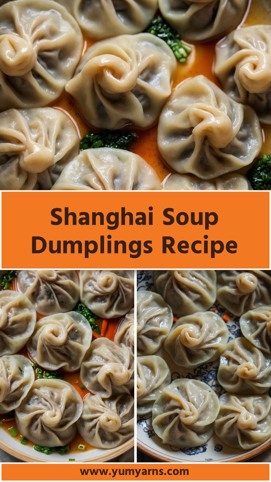 Pan-Fried Shanghai Soup Dumplings with Pork and Ginger