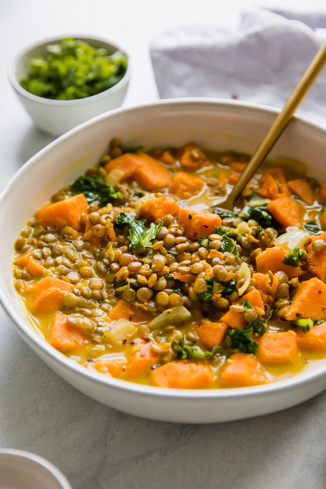 Vegetarian Lentil and Sweet Potato Curry