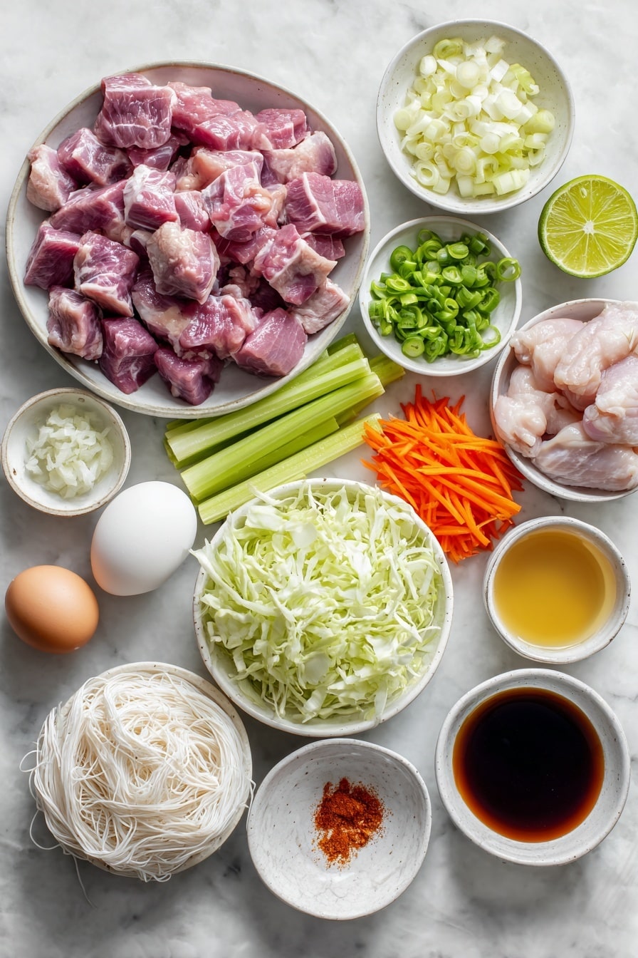 Two-Noodle Pancit with Soy-Simmered Pork and Egg Wheat Noodles