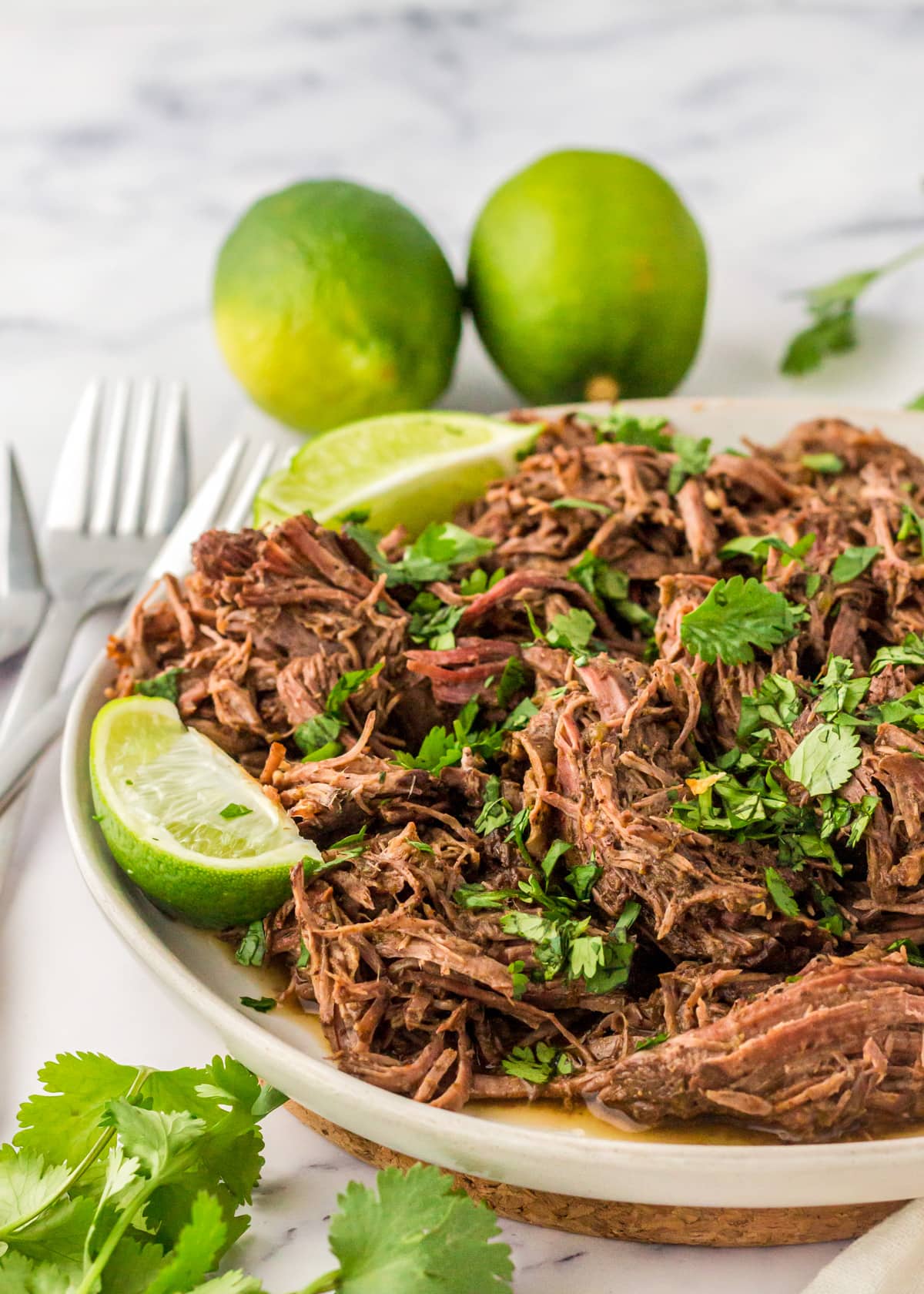 Slow Cooker Tex-Mex Beef Barbacoa with Cilantro Lime Rice
