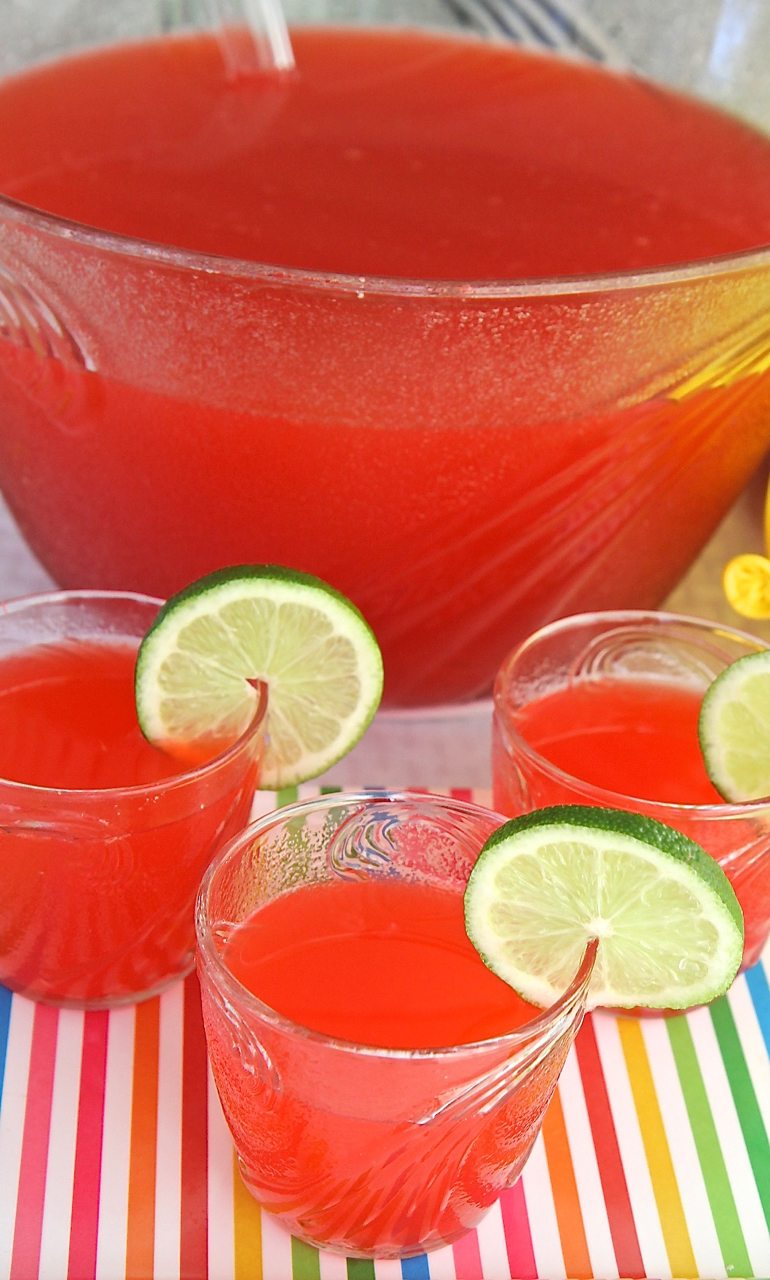 Non-Alcoholic Citrus and Berry Party Punch