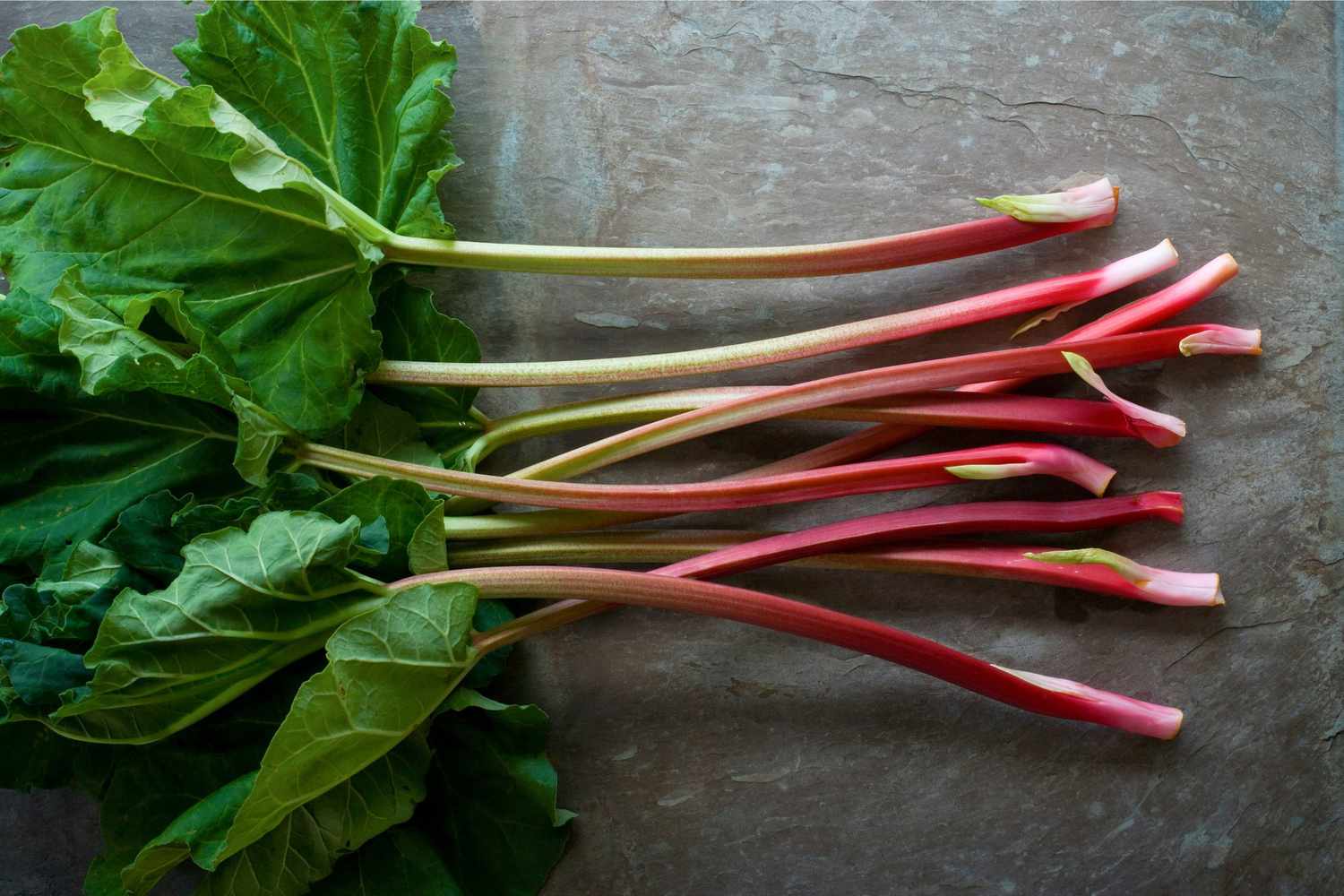 Rhubarb Crumb Tart