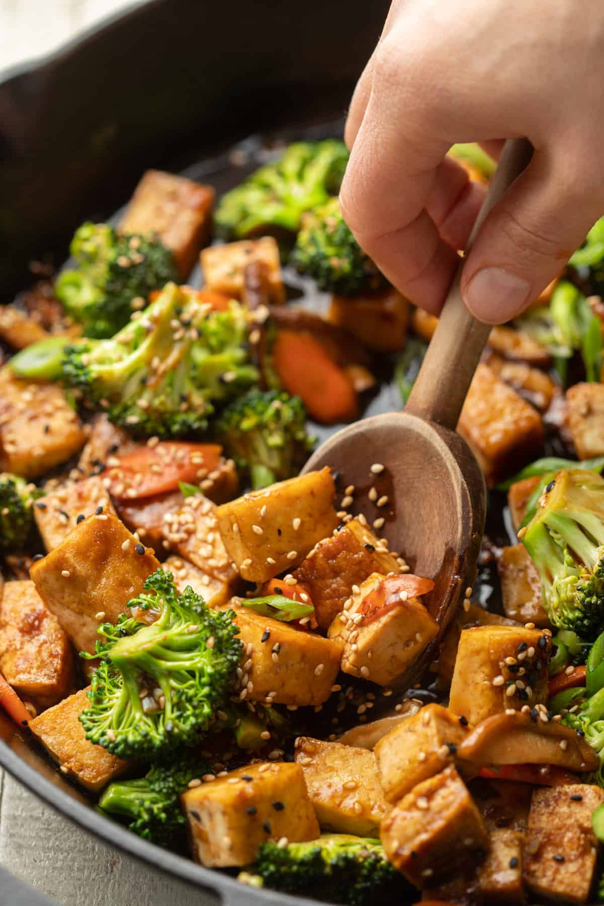 Stir-Fried Tofu and Vegetables in Spicy Garlic Sauce