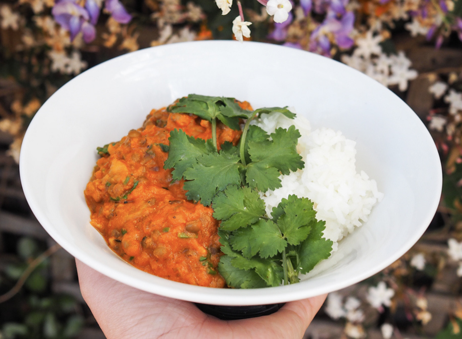 Spiced Lentil and Eggplant Curry