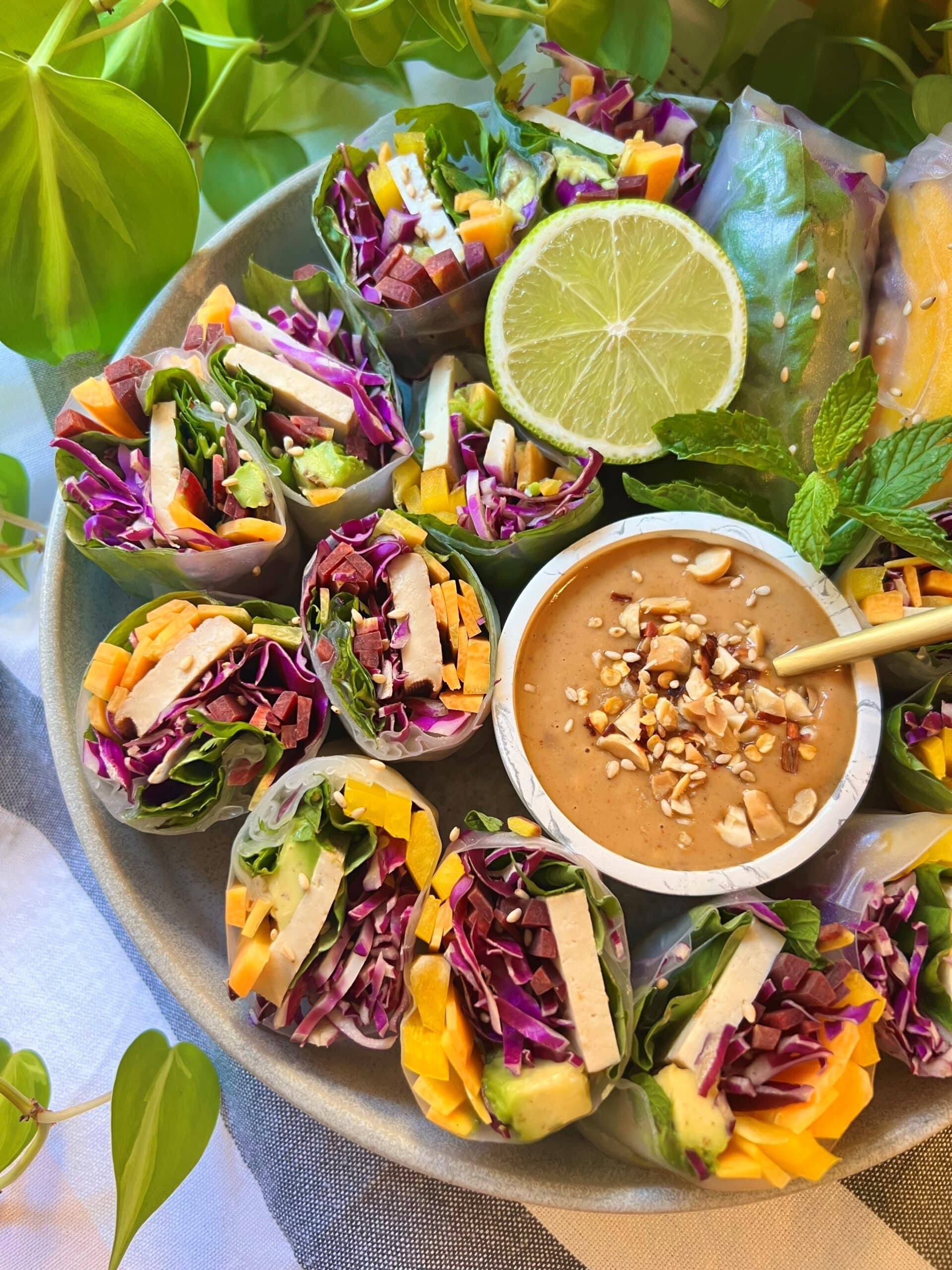 Fresh Vietnamese Pork and Herb Rice Paper Rolls with Peanut Dipping Sauce