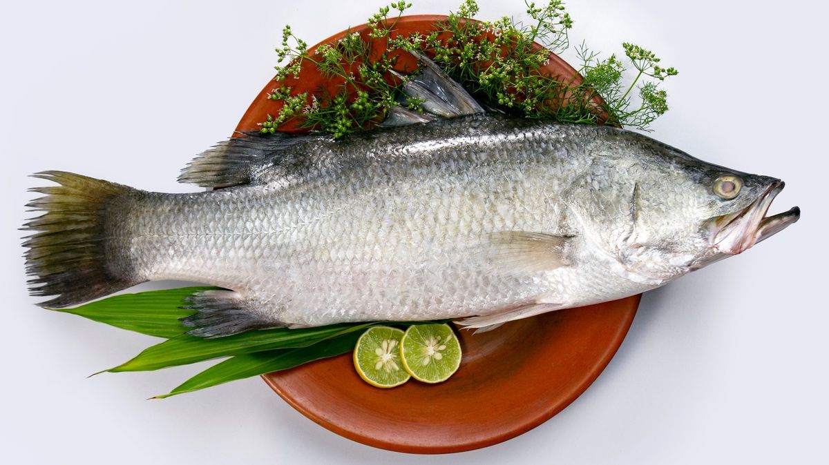 Barramundi Fillets Pan-Seared with Lemon Myrtle Butter