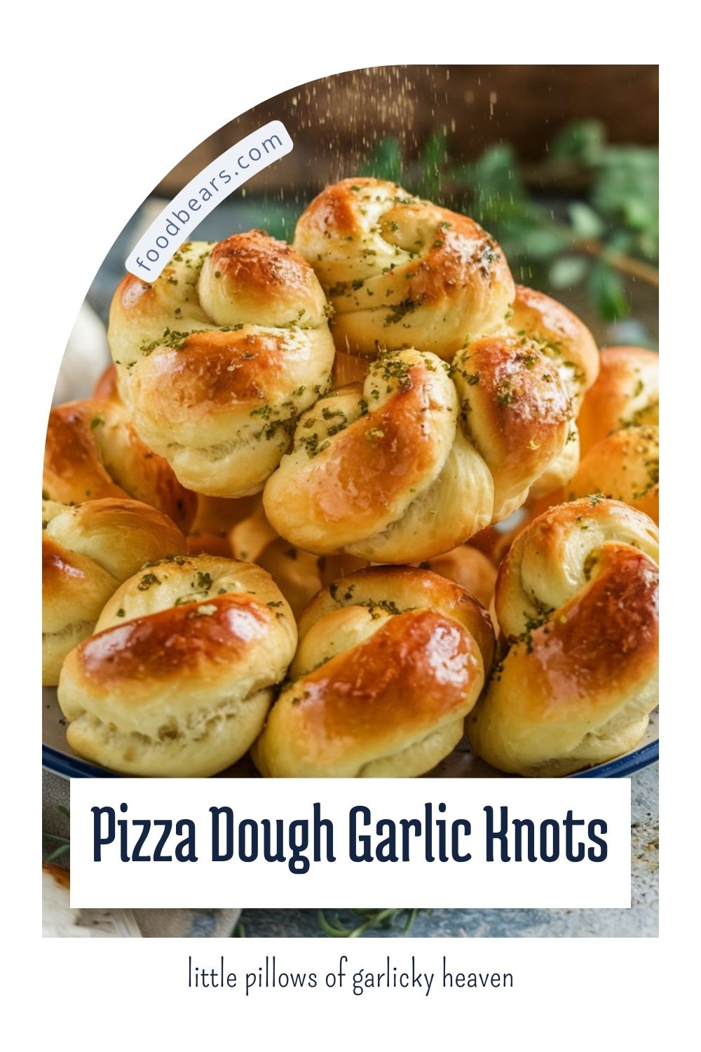 Wood-Fired NY Style Pizza with Garlic Knots