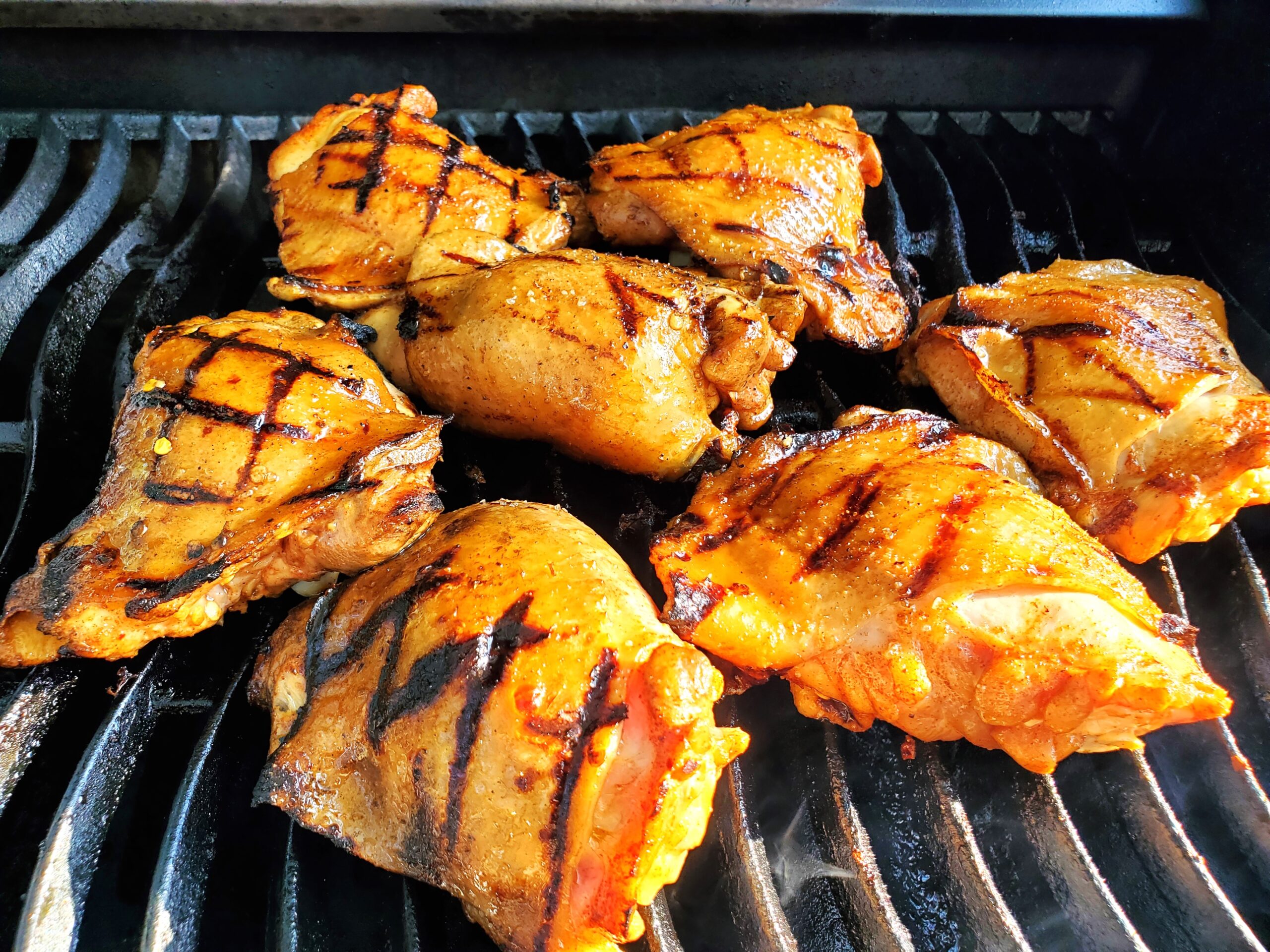 Grilled Pueblo-Style Chicken with Red Chile Marinade