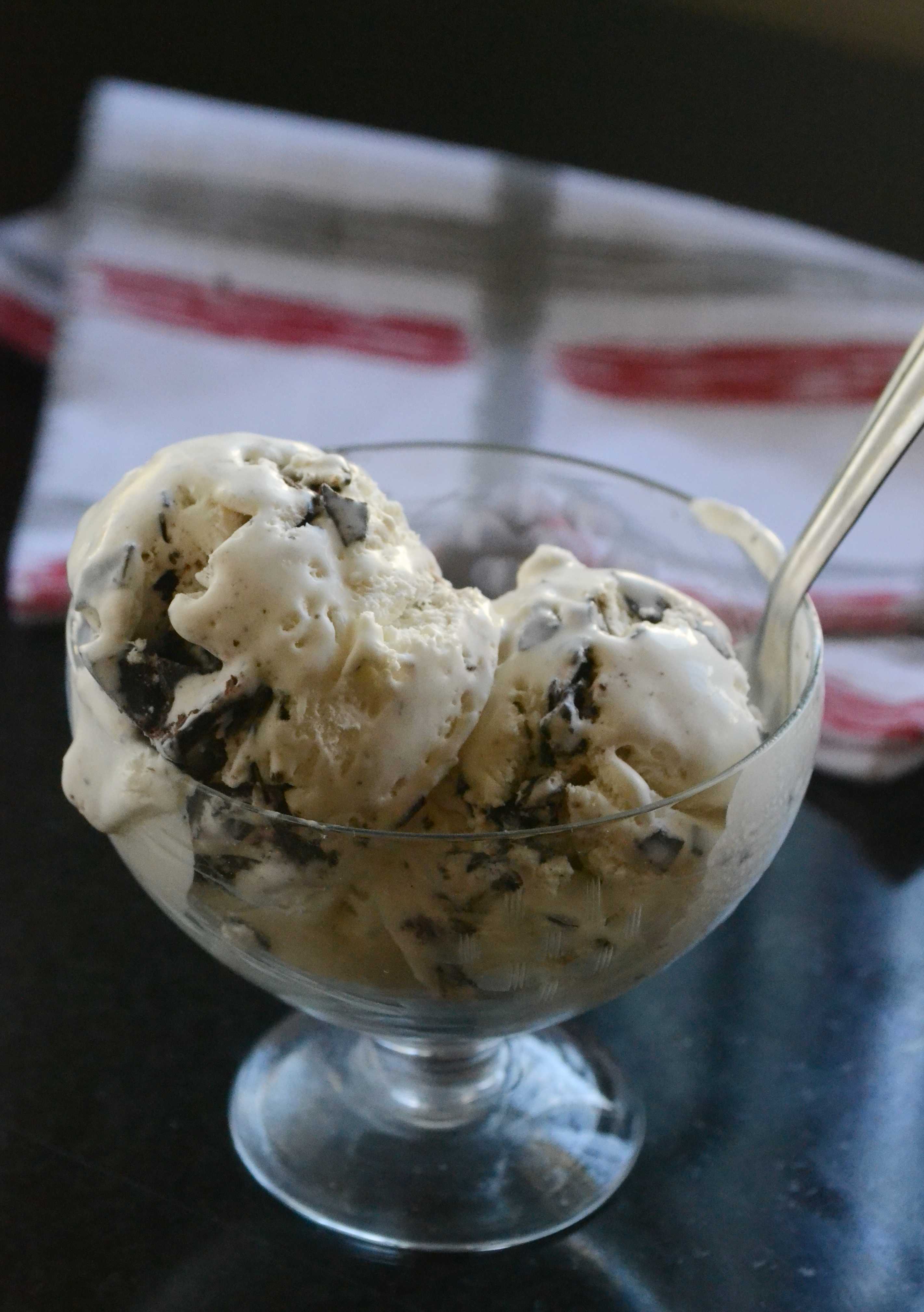 No-Churn Vanilla Bean Ice Cream with Dark Chocolate Swirl