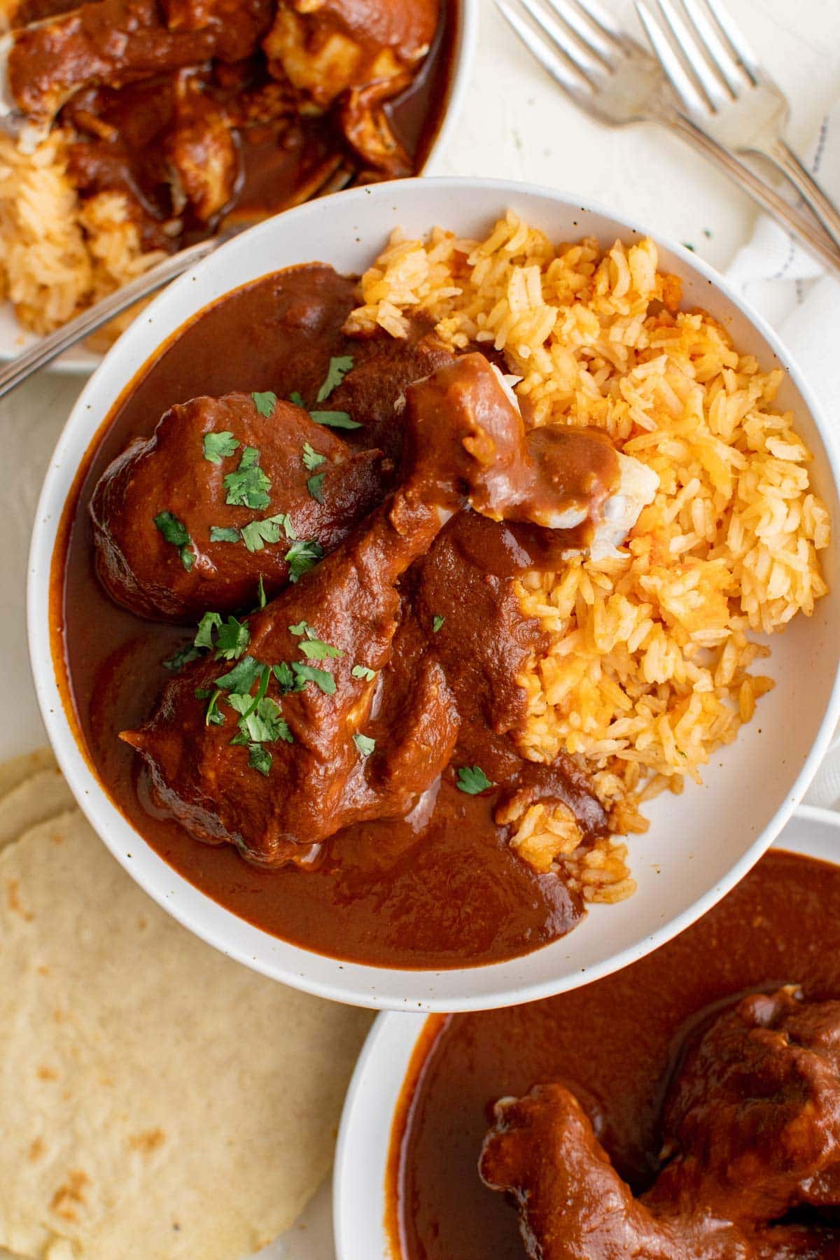 Slow-Simmered Chicken Mole with Rich Ancho Chile Sauce