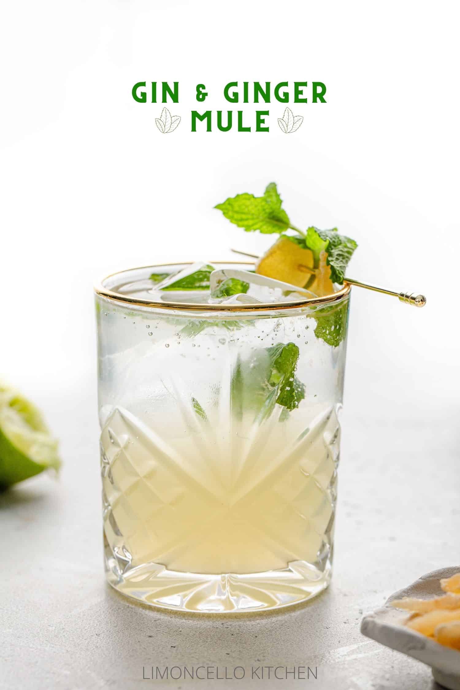 Ginger-Lime Gin Mule